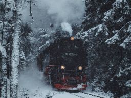 ELTFIgQmivI.jpg (1080×1350)
